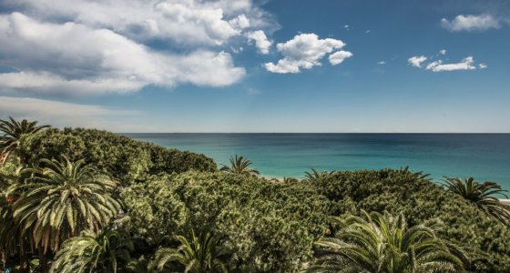 Sea view with palm trees Finale Ligure