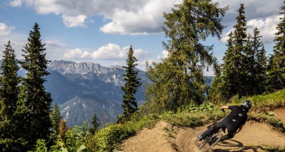 Trails in Schladming - MTB Beds