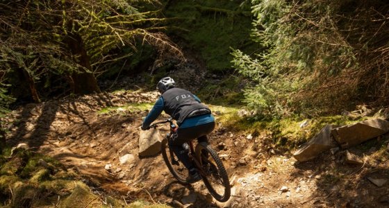 mountain bikes in the tweed valley