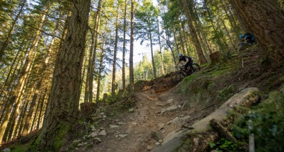 steep enduro world series tweed valley