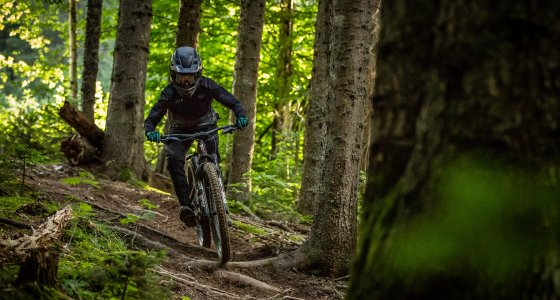How much is bike hire in Morzine