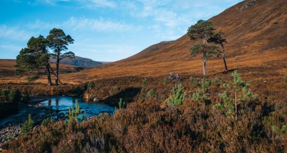 mountain biking in scotland descent