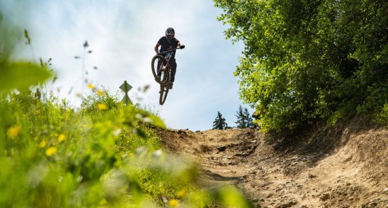 Mountain bike accommodation Morzine