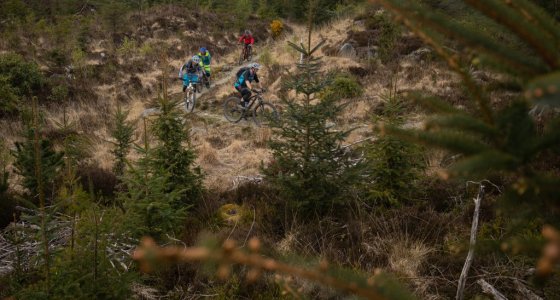 riding coed y brenin trail centre