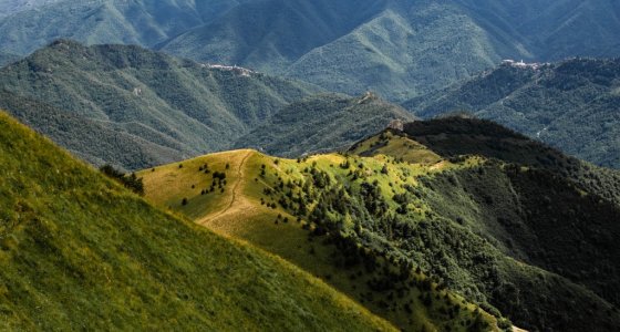 Molini ebike singletrack descent