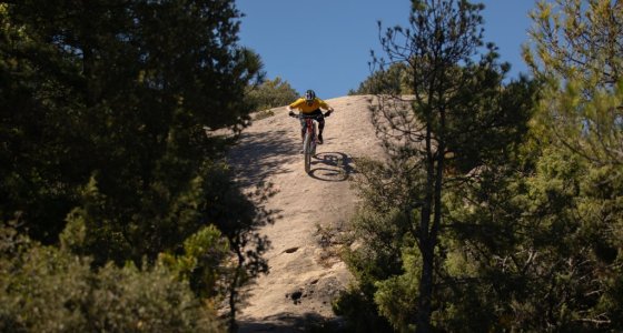 E-BIKE HOLIDAY