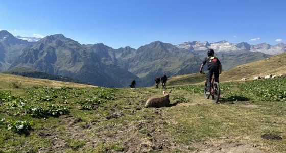 Spain holiday mtb