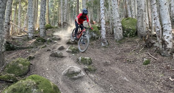 Pyrenees mtb