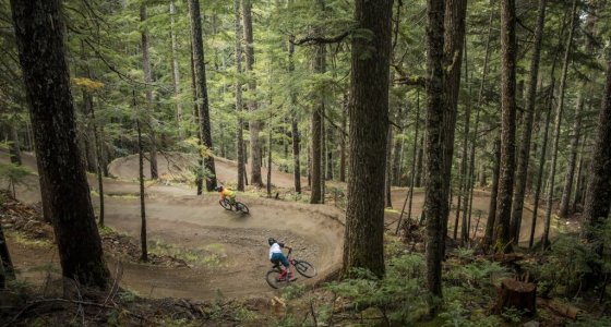 whistler mtb holiday tour