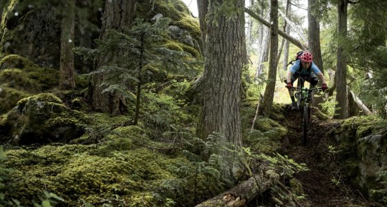 whistler mtb holiday tour