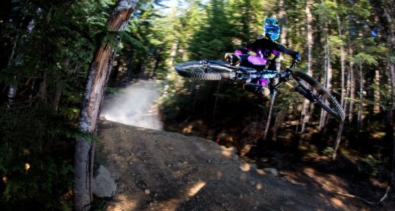 whistler mtb holiday tour