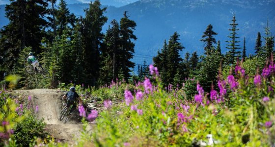 whistler mtb holiday tour