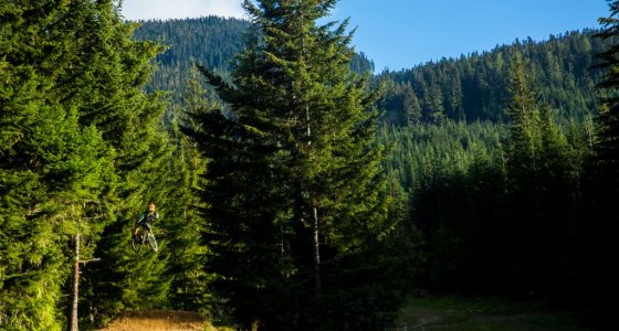 whistler mtb holiday tour