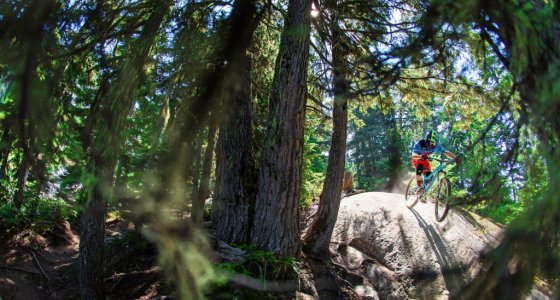 whistler mtb holiday tour