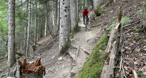 Pyrenees MTB tour