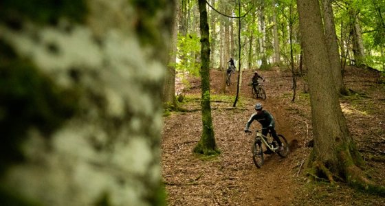 Ski and Bike Morzine Holiday