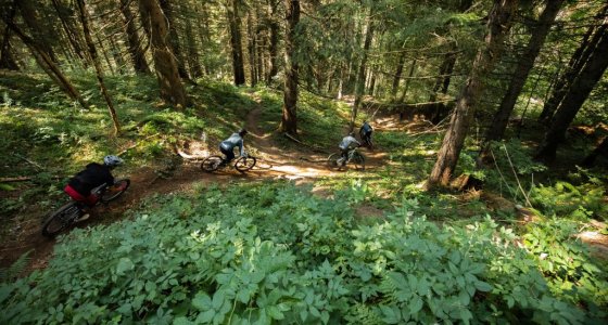 Ski and Bike Morzine