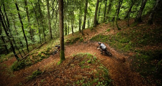 MORZINE BACK COUNTRY E-BIKE