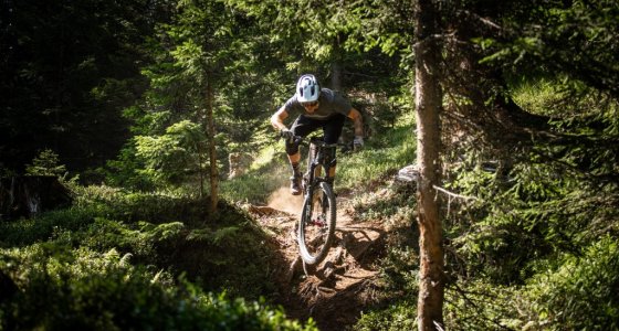 E-BIKE GUIDE MORZINE