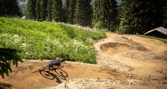 PORTES DU SOLEIL TOUR