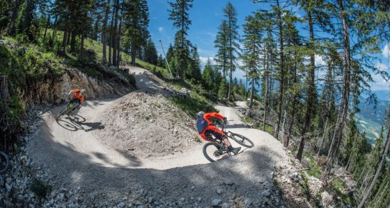 petzen flo wtrail
