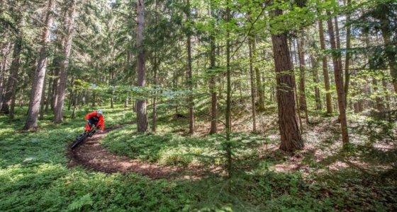 slovenia single track trail