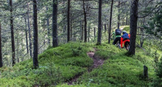 slovenia mtb ridge line