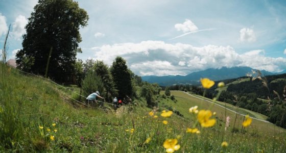 slovenia single track