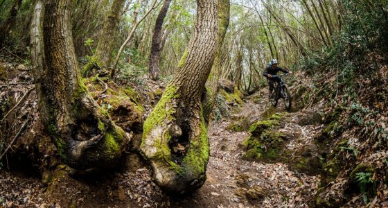 TUSCANY MTB
