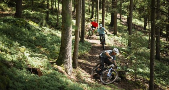 slovenia single track