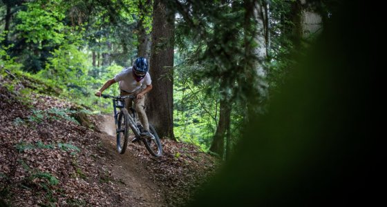 morzine bike tour
