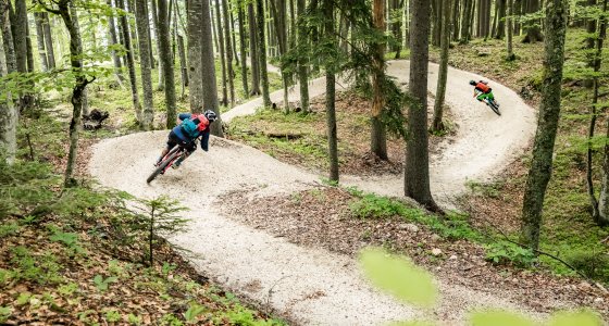 Slovenia MTB TOUR