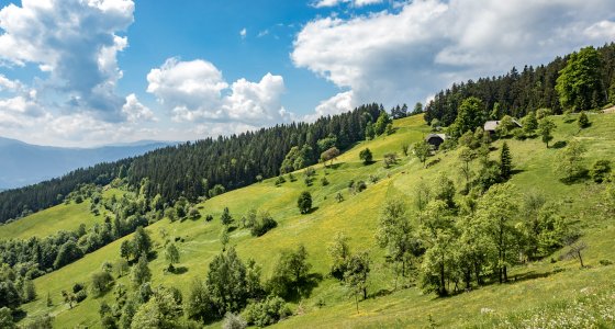 Slovenia MTB TOUR
