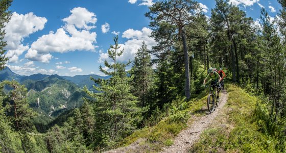Slovenia MTB TOUR