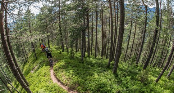 Slovenia MTB TOUR