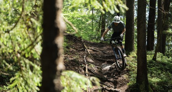 Slovenia MTB TOUR