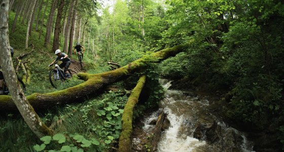 Slovenia MTB TOUR