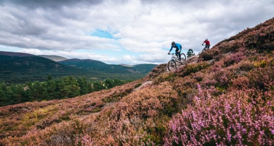 Trans Caledonia clan weeks 