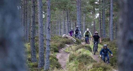 trans caledonia race 