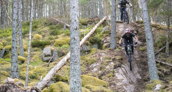 trans caledonia race 