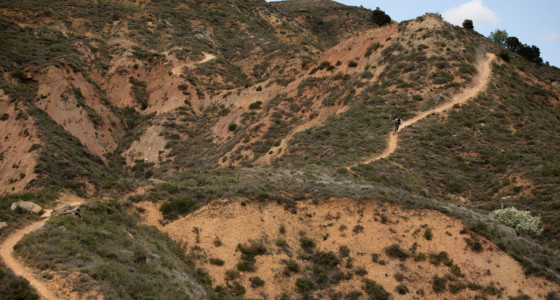 Tremp Singletrack