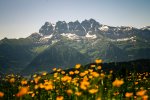 summer french alps