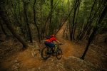 Singletrack in Finale