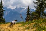 Laps in Schladming bike park