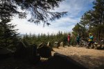 glentress buzzards nest