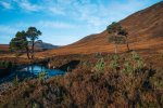 mountain biking in scotland descent