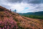 purple heather descent in cairngorms