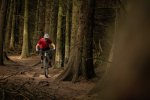 e bikes in the glentress forest