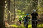 tweed valley e bike holiday