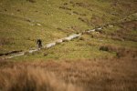 rangers path descent snowdon